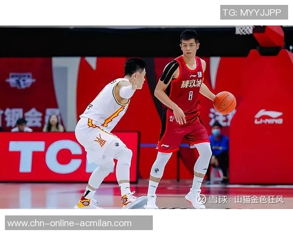 辽宁与广厦激战回放精彩瞬间全景解析与赛后点评 辽宁与广厦激战回放精彩瞬间全景解析与赛后点评