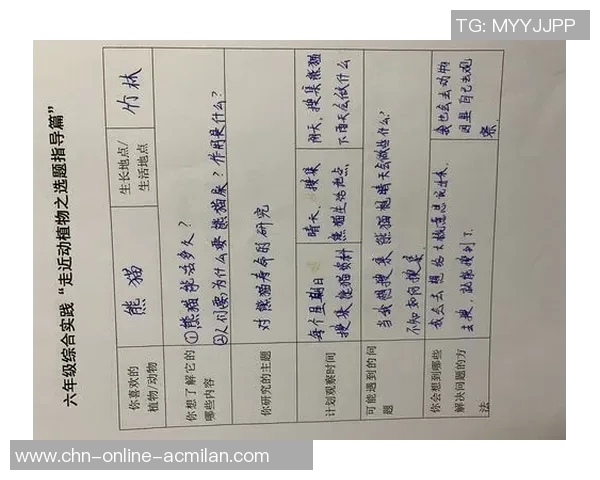 多样化体育课热身运动项目探讨与实践建议